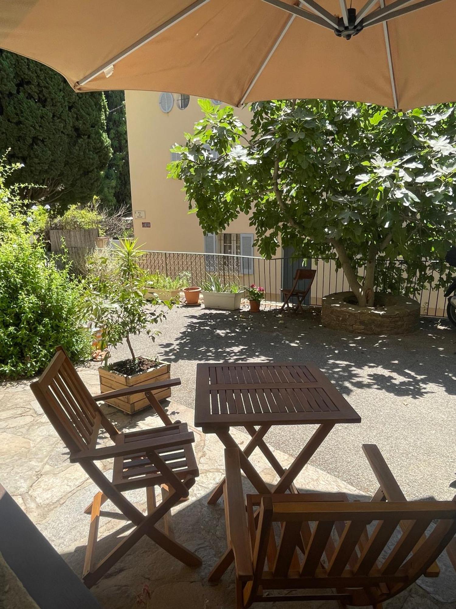 Cosy Studio - Place Du Figuier Bormes-les-Mimosas Bagian luar foto
